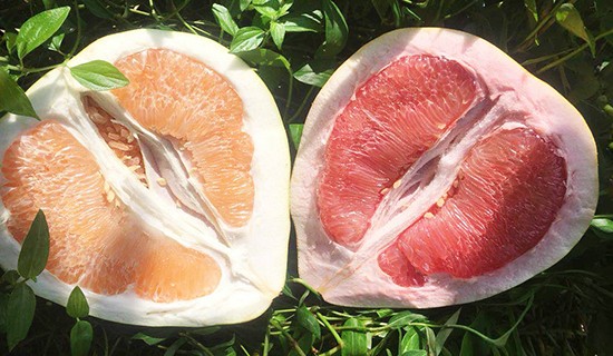How to pick up and peel off the honey pomelo?
